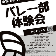 東京都稲城市で活動している　小学生バレーボールチーム体験会参加者...