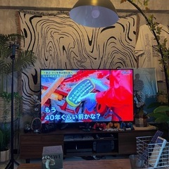 今週売り切り　50型液晶テレビ