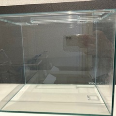 GEXフレームレス水槽
