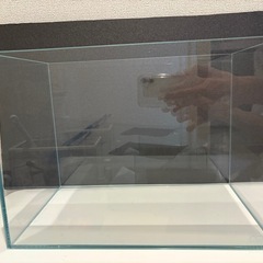 ADAフレームレス水槽