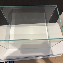 ADAフレームレス水槽 の画像