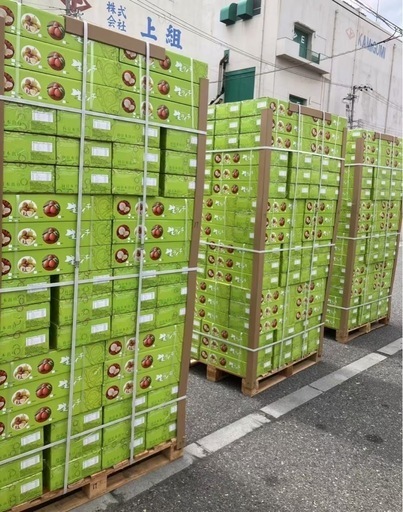 中国海南産ライチ