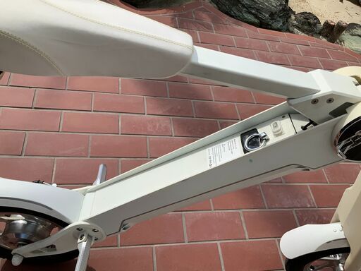 ブレイズ スマート EV BLAZE SMART EV