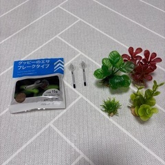 魚飼育セット