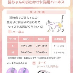✨未使用✨猫用ハーネスの画像