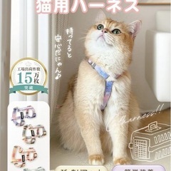 ✨未使用✨猫用ハーネス