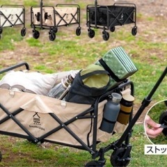 キャリーの画像