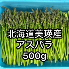 【朝採れ直送】北海道産アスパラ SSサイズ　規格外