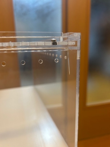 爬虫類
レプタイルボックス