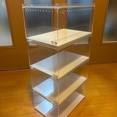 爬虫類
レプタイルボックス