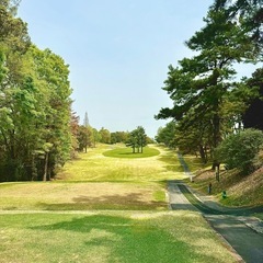 平日ゴルフ友達募集中です