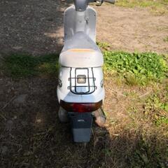 バイク ホンダ パルの画像