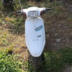 バイク ホンダ パル