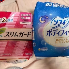 【女性限定】生理用ナプキン 2パック
