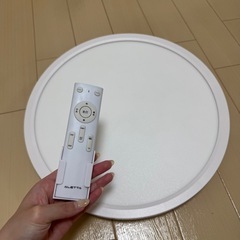 【取引者決定】シーリングライト 調光可能 リモコン付き