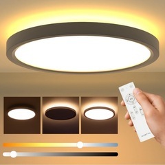 【取引者決定】シーリングライト 調光可能 リモコン付きの画像