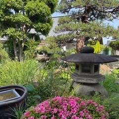 灯籠