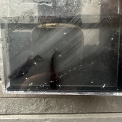 和墨　メダカ　　墨強め
の画像