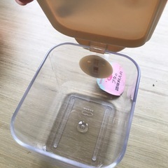 調味料いれ　ぶたさん　アフターヌーンティーの画像