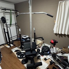 ファイティングロード　キングオブベンチ　ラッドプルオプション