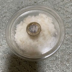 マイクロワーム（メダカの稚魚のエサに）の画像