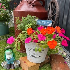 ★今年もはじまりました！！音更のお花屋さん　All¥80  ★