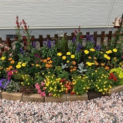 ★今年もはじまりました！！音更のお花屋さん　All¥80  ★の画像