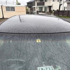 これまた激安の画像