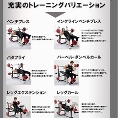 取引中　
ファイティングロード　キングオブベンチ　ラッドプルオプションの画像
