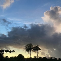 明日夜釣り🌕