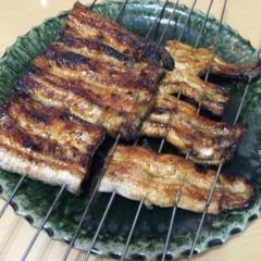 ⑰うなぎ釣りなら鰻遊会✨　　LINEOpenChat　　　　　　　　　　メンバー募集中❗ - 大分市