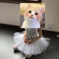 バレエ衣装の画像