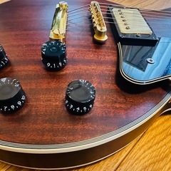 Brian by Bacchus オールマホガニー 超希少 All Mahogany Les Paul レスポールの画像
