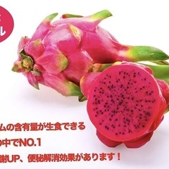 ドラゴンフルーツ　レッド