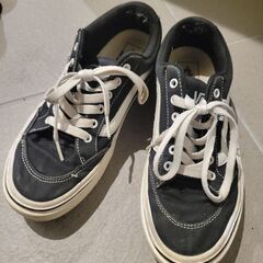 VANS スニーカー 24.5