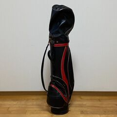 ゴルフセット LYNX リンクス キャディーバッグ 8型 6分割 Haleirwin ヘール・S・アーウィン Hale S Irwin 17-4 PH ドライバー 1番 10.5° ウッド 3番 15° 4番 18° アイアン G-Ⅰ 3番 4番 5番 6番 7番 8番 9番 ウェッジ G-Ⅰ  PW ピッチング SW サンド SPALDING パター T.P.M.5の画像