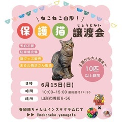 6/15(日)保護猫譲渡会@山形市