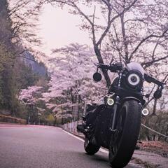 平日のツーリング仲間募集しています！