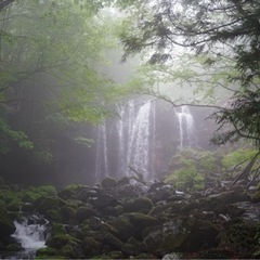 🔰季節がわかる写真撮影 - その他
