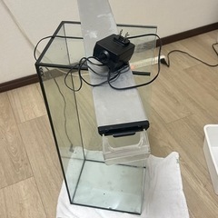 水槽と水槽ライト