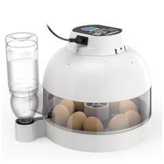 自動孵卵器⭐️インキュベーター 鳥類専用孵卵器 自動転卵 アヒル...