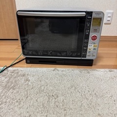 【お話し中】電子レンジ