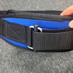 かなり美品シークトレーニングベルトの画像