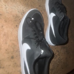 値下げしました！NIKE靴の画像