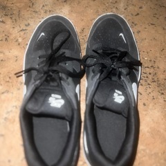 値下げしました！NIKE靴の画像