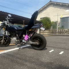 エイプ50の画像