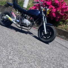 エイプ50の画像