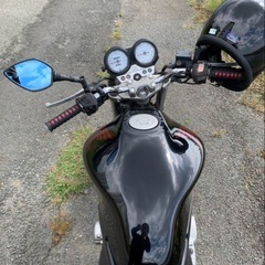 HONDA ホンダ　ホーネット250 Hornet【実働極上車❗️自賠責有・大阪】の画像