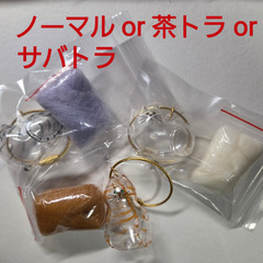 うちの子けだまのハチワレを探しています