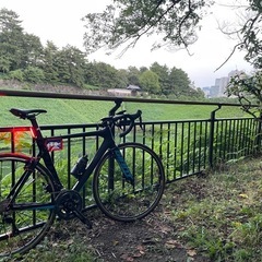 早朝に皇居周回　ロードバイク